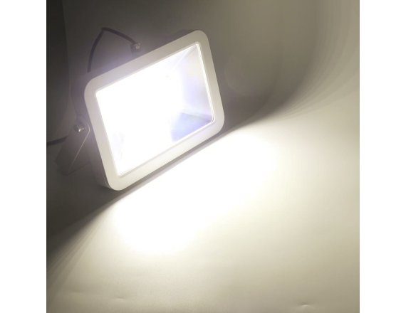 Proiector LED 50W New Style PR-50WNS
